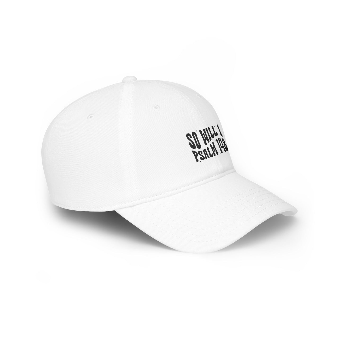 Low Profile Baseball Cap